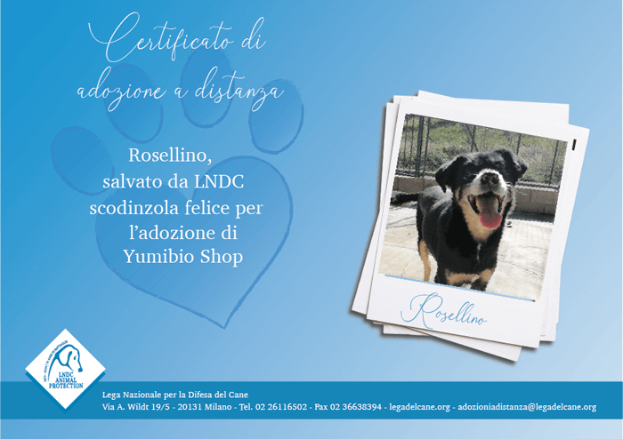 Rosellino