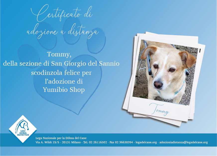 Tommy