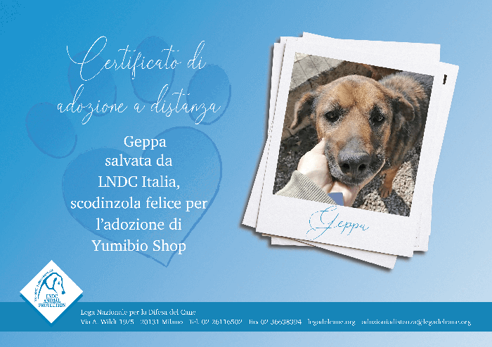 Geppa