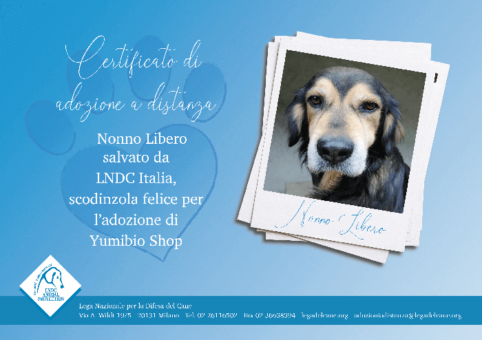 Nonno Libero