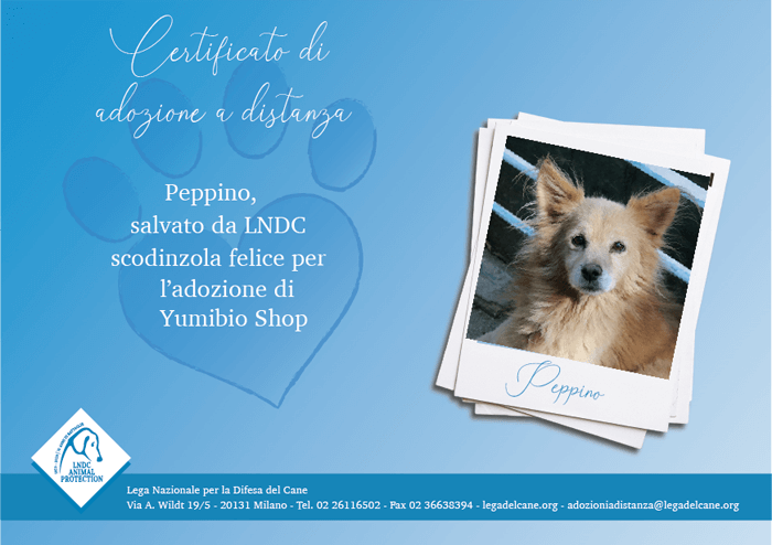 Peppino