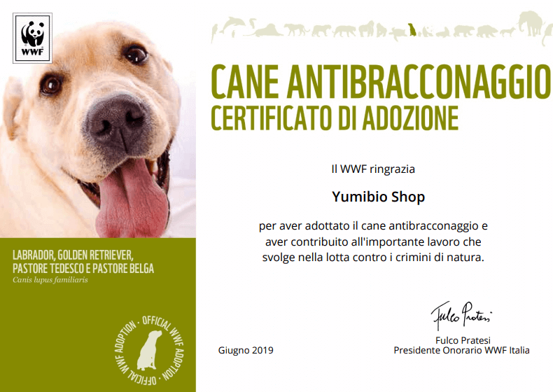 Giugno 2019