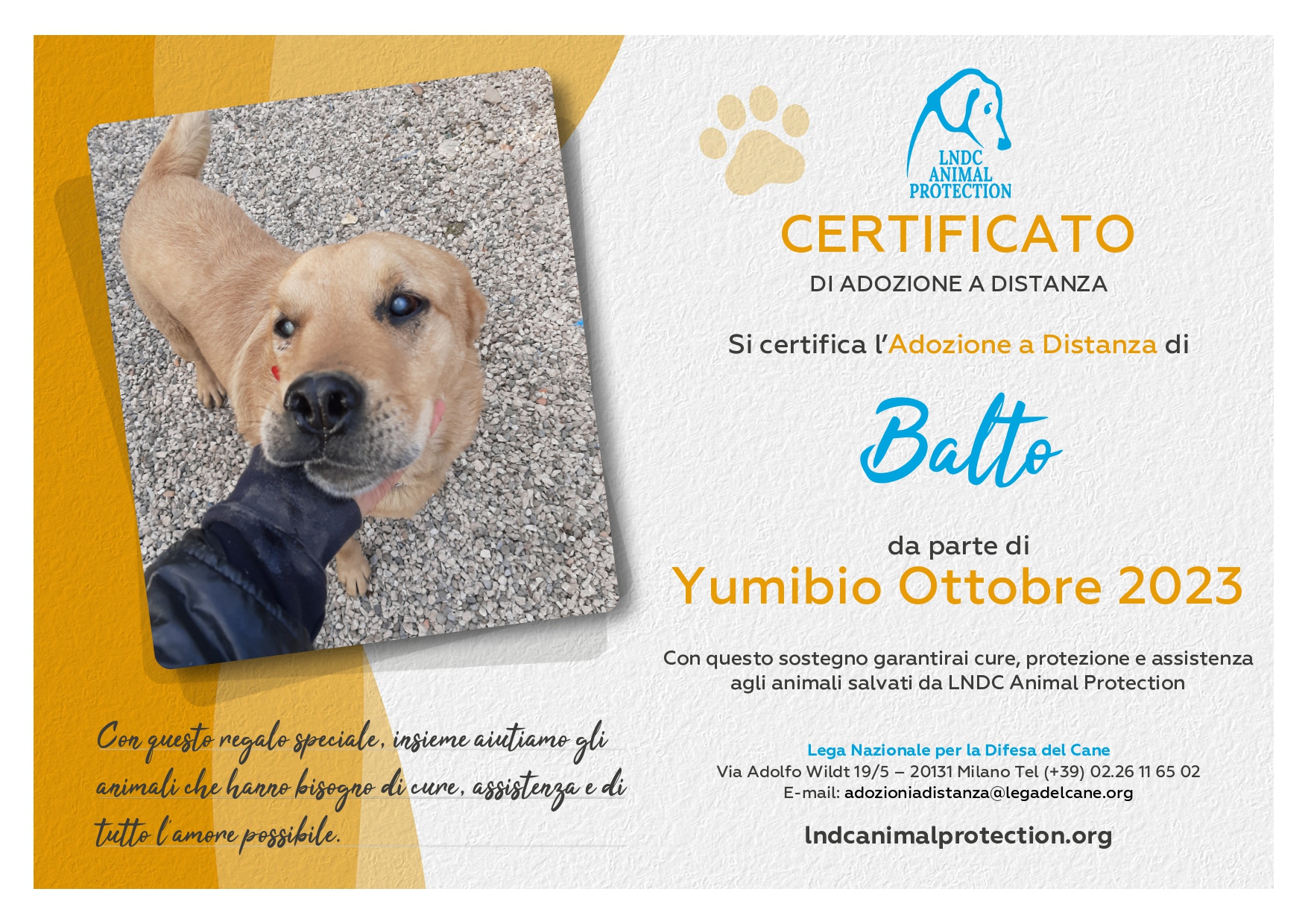 Balto
