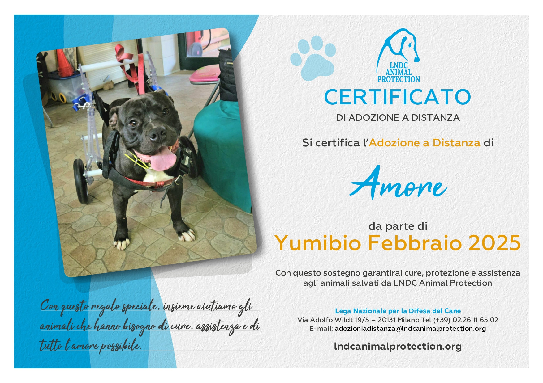 Amore
