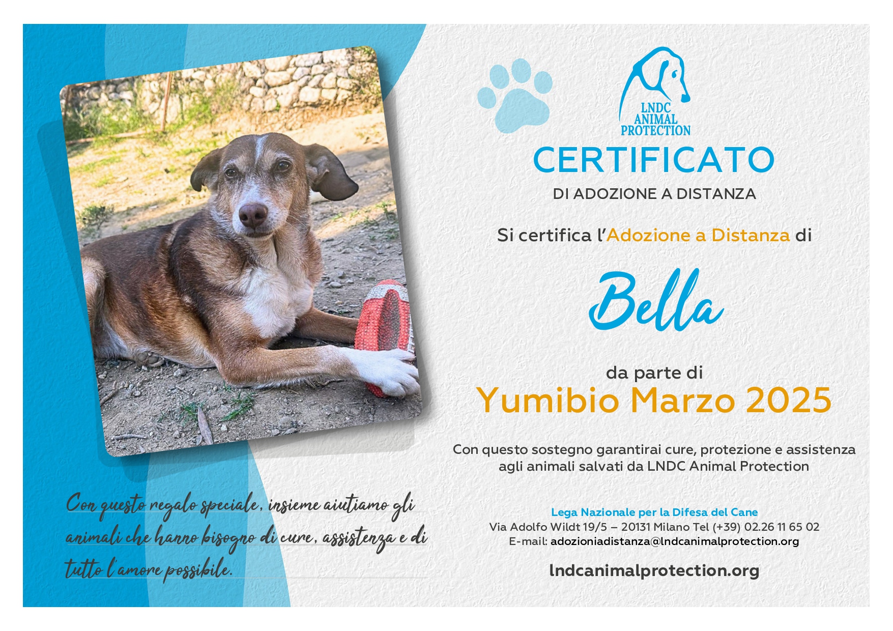Bella