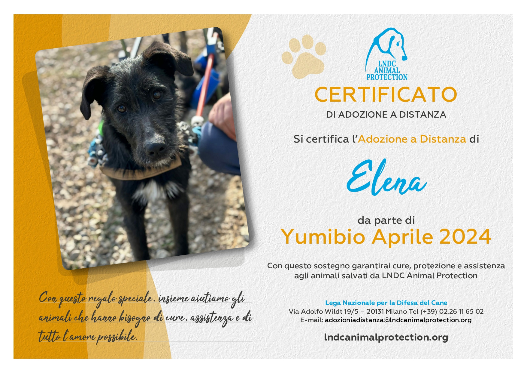 Elena