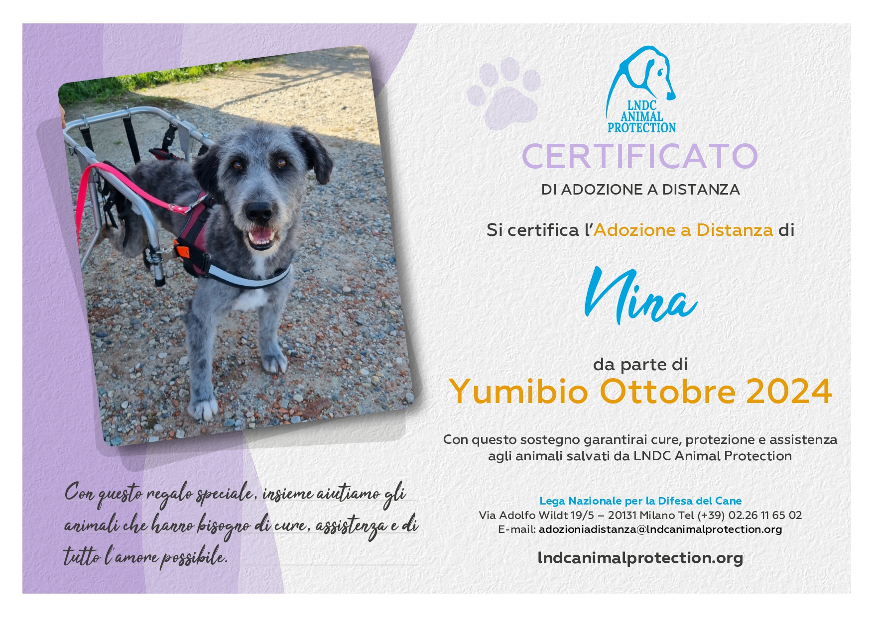 Nina