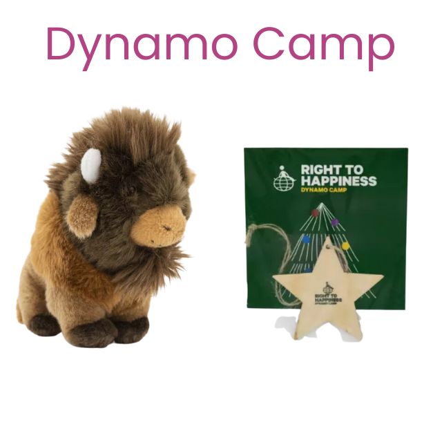 Dynamo Camp