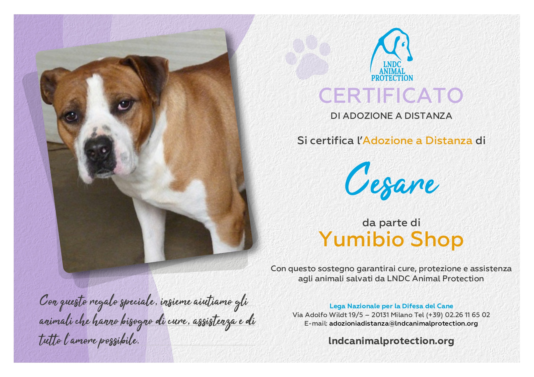 Cesare