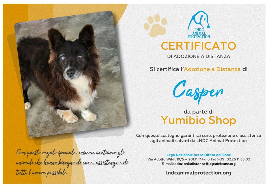 Casper