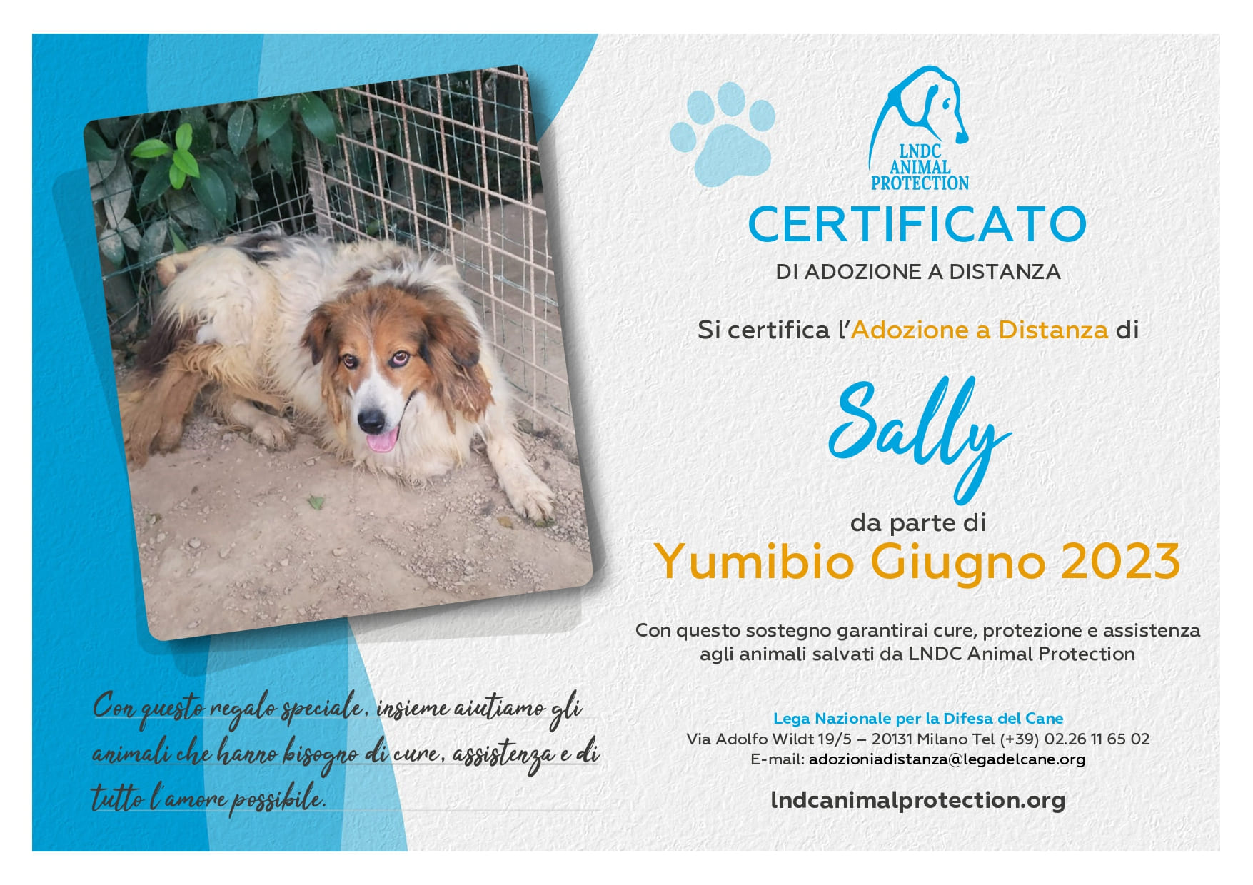 Sally